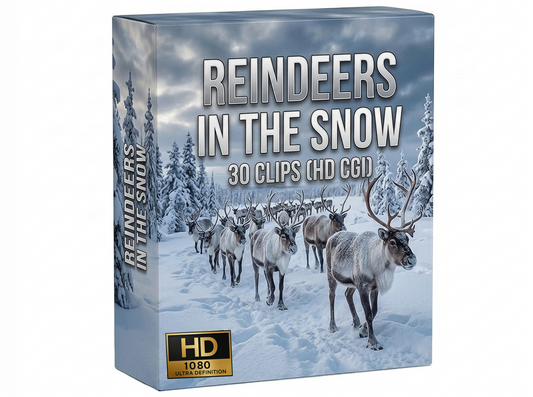 Creator Pack - 30 single clips of Reindeers In The Snow (HD)