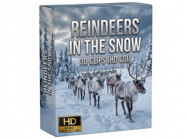 Creator Pack - 30 single clips of Reindeers In The Snow (HD)
