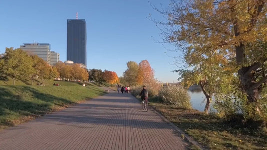 Virtual Run - Vienna - Austria