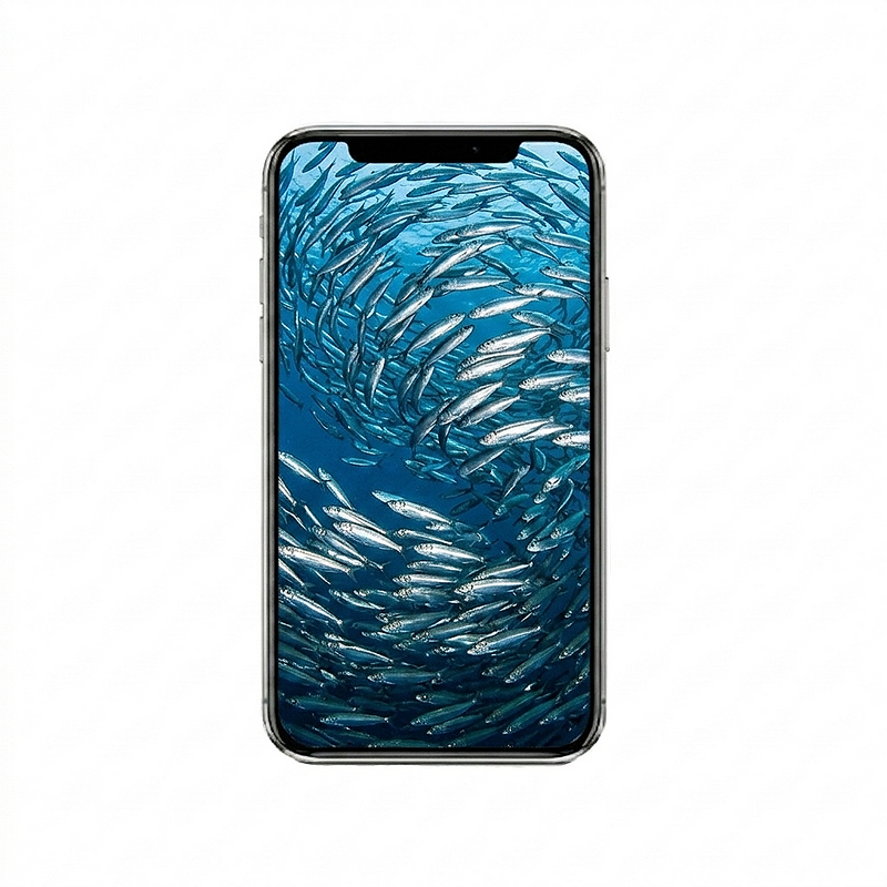 Vertical Creator Pack - 10 single clips of Sardines (4K UHD)