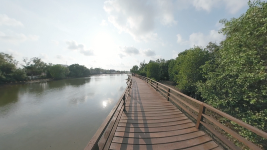 Virtual Cycle Rides - Mangrove Boardwalks