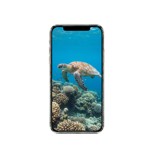 Vertical Creator Pack - 10 single clips of Sea turtle (4K UHD)