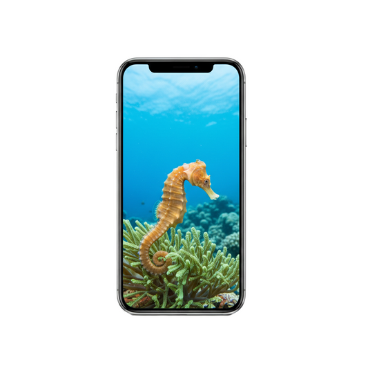 Vertical Creator Pack - 10 single clips of Seahorse (4K UHD)