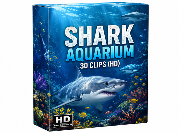 Creator Pack - 30 single clips of Shark Aquarium (HD)
