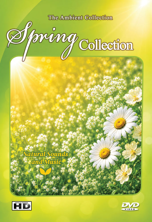Spring Collection