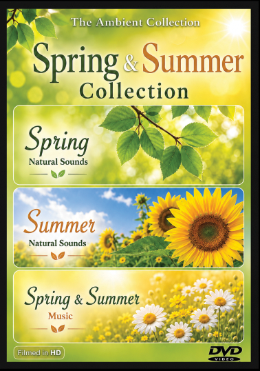 Spring & Summer Collection
