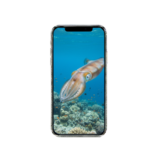 Vertical Creator Pack - 10 single clips of Squid&Cuttlefish (4K UHD)