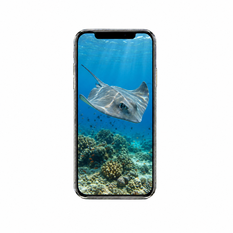Vertical Creator Pack - 10 single clips of Stingray (4K UHD)