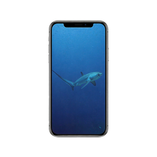 Vertical Creator Pack - 10 single clips of Thresher Shark (4K UHD)