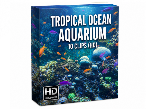 Creator Pack – 10 Single Clips of Tropical Ocean Aquarium (HD)