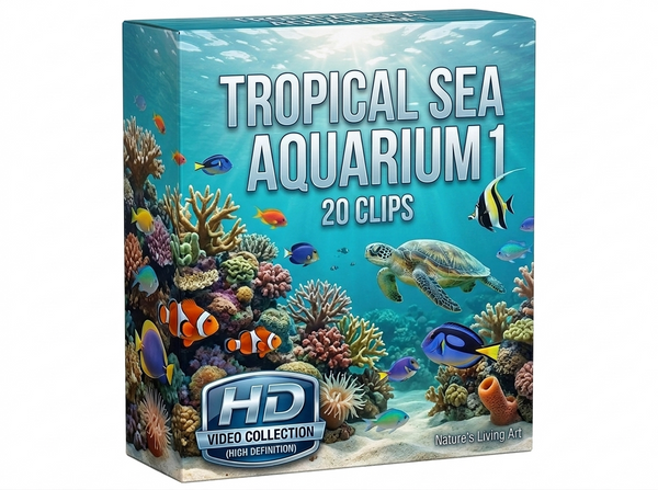 Creator Pack - 20 single clips of Tropical Sea Aquarium 1 (HD)