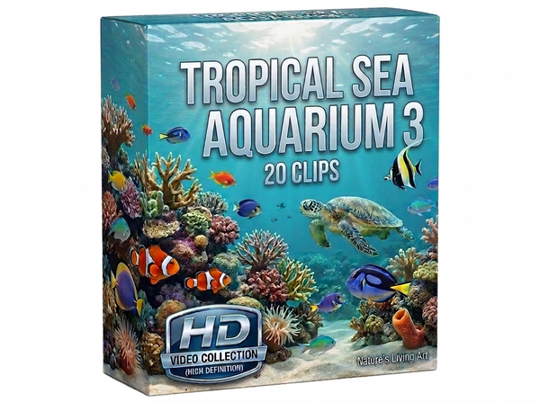 Creator Pack - 20 single clips of Tropical Sea Aquarium 3 (HD)
