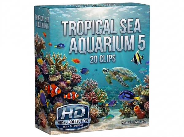Creator Pack - 20 single clips of Tropical Sea Aquarium 5 (HD)