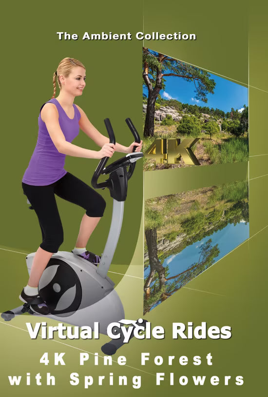 Virtual Cycle - Pine Forest with Spring Flowers