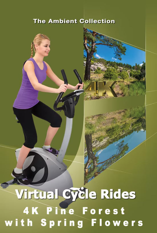 Virtual Cycle - Pine Forest with Spring Flowers