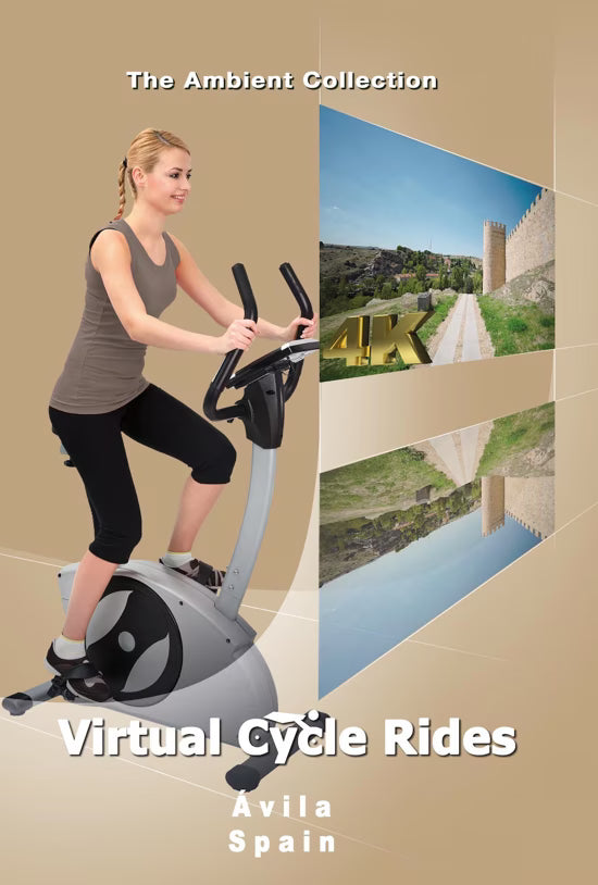 Virtual Cycle - Ávila - Spain