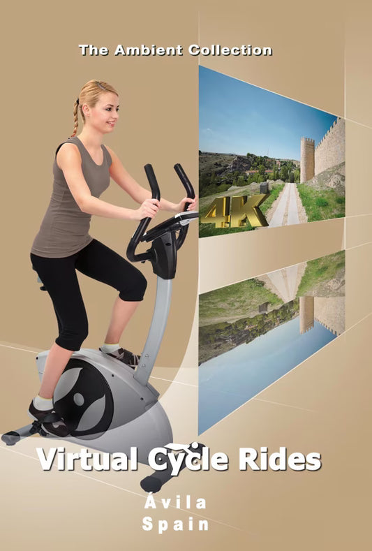 Virtual Cycle - Ávila - Spain