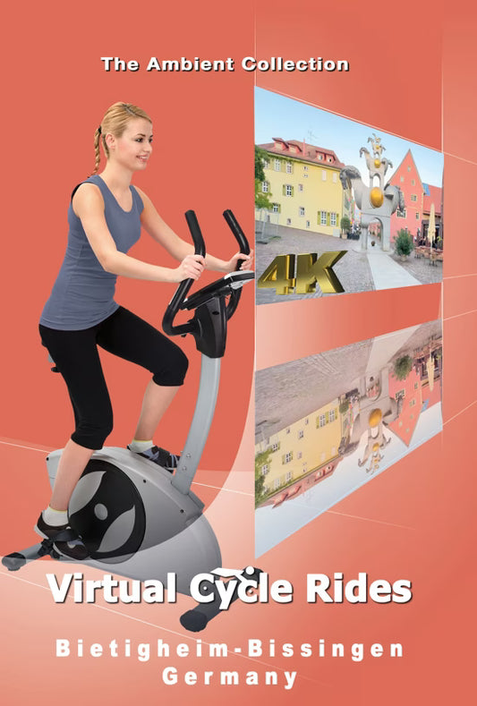 Virtual Cycle - Bietigheim-Bissingen - Germany