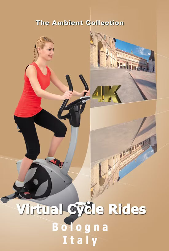 Virtual Cycle - Bologna - Italy