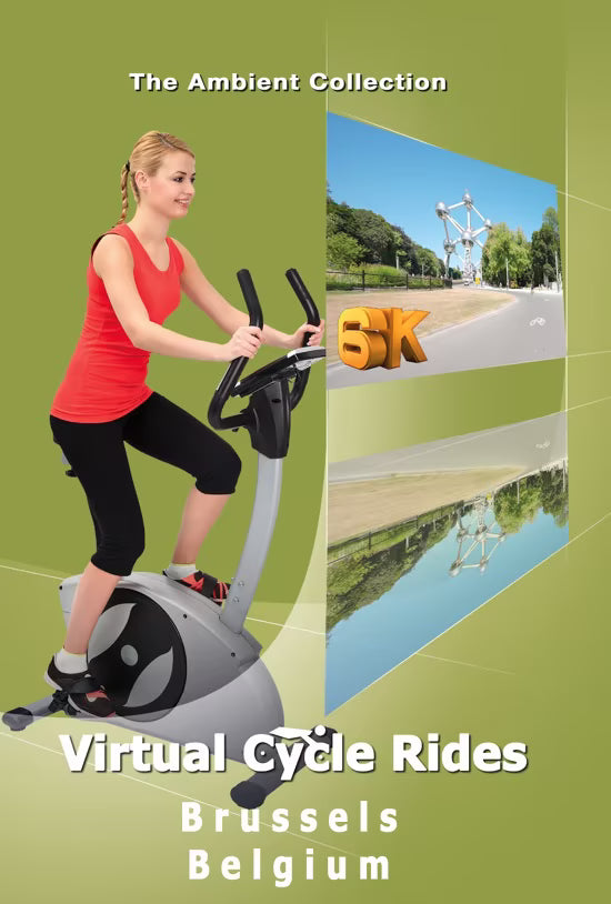 Virtual Cycle - Brussels - Belgium