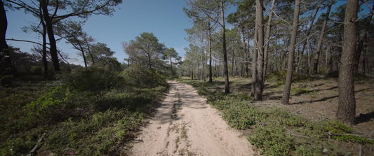 Virtual Cycle Collection - Algarve - Portugal