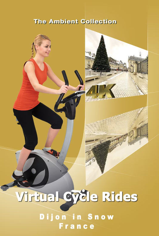 Virtual Cycle - Dijon in Snow - France