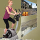 Virtual Cycle Rides - Dordrecht The Netherlands