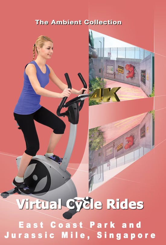Virtual Cycle -  East Coast Park and Jurassic Mile - Singapore