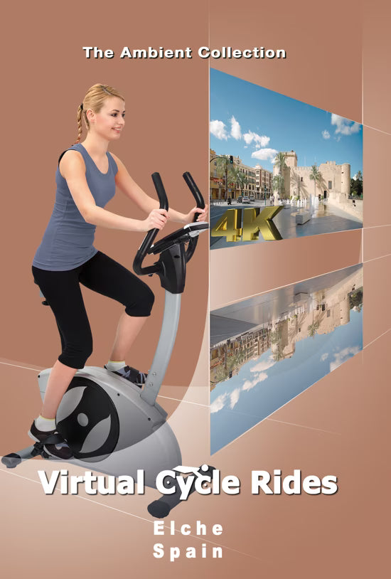 Virtual Cycle - Elche - Spain