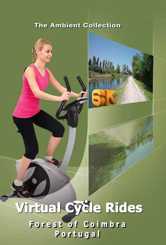Virtual Cycle - Forest of Coimbra - Portugal