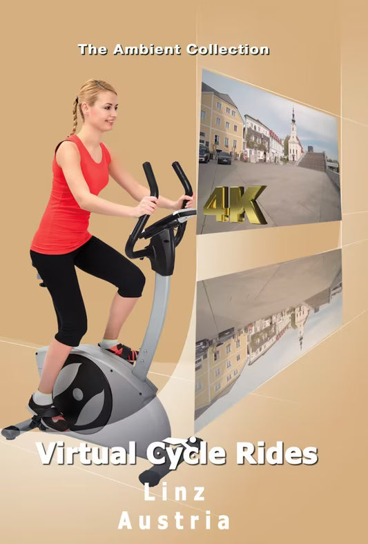Virtual Cycle - Linz - Austria