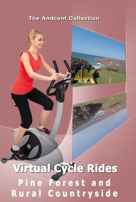 Virtual Cycle - Pine Forest and Rural Countryside