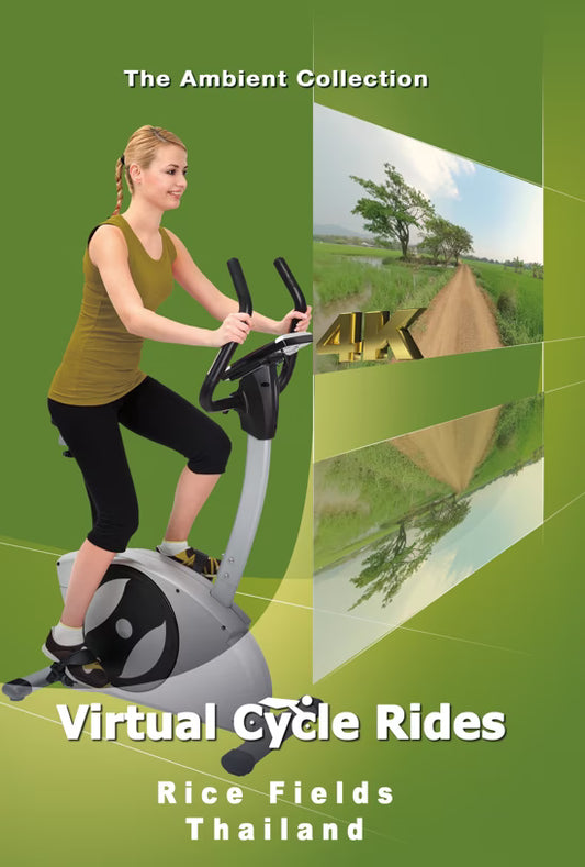 Virtual Cycle - Rice Fields - Thailand