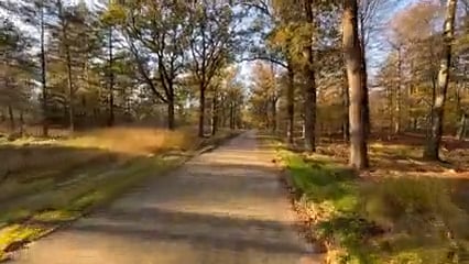 Virtual Cycle Rides - National Park Veluwe in Fall - The Netherlands