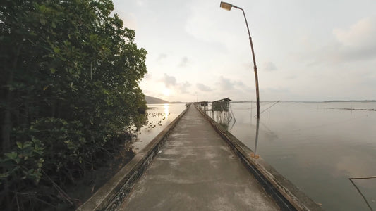 Virtual Cycle Rides - Fishing and Boat Piers - Thailand