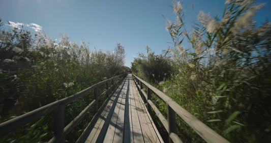 Virtual Cycle Rides - Natural Park El Fondo - Spain