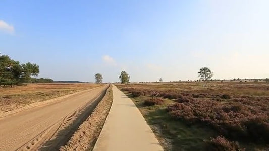 Virtual Cycle Rides – Spring Forest with Music and Birdsongs