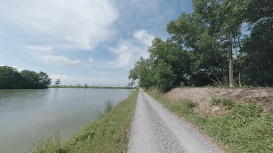 Virtual Cycle Rides - Tha Lat Bird Park - Thailand