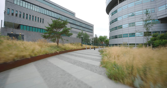 Virtual Cycle Rides – The Hague, The Netherlands