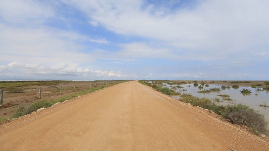 Virtual Cycle Rides - Through Nature, A Day at the Beach