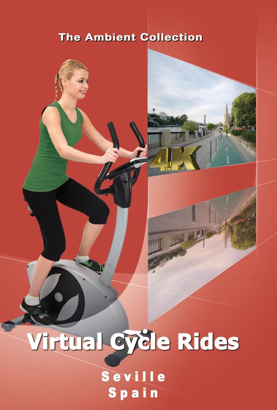 Virtual Cycle - Seville - Spain