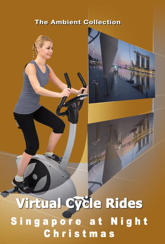 Virtual Cycle - Singapore at Night - Christmas