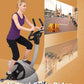 Virtual Cycle Rides - Sneek - The Netherlands