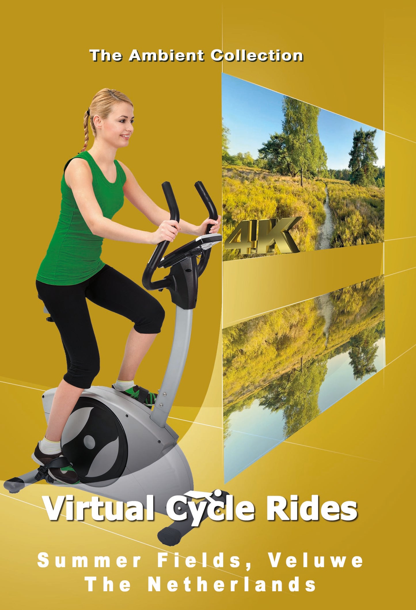 Virtual Cycle - Summer Fields - Veluwe - The Netherlands