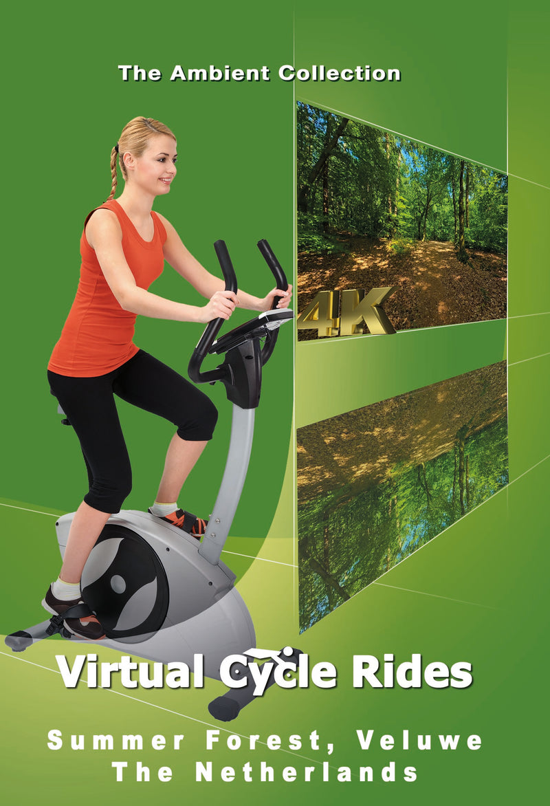 Virtual Cycle - Summer Forest - Veluwe - The Netherlands