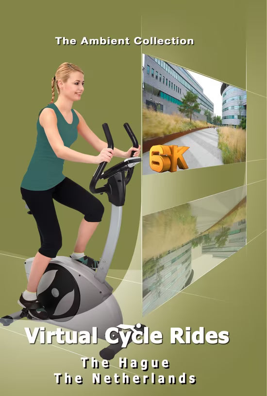 Virtual Cycle - The Hague (Den Haag) - The Netherlands