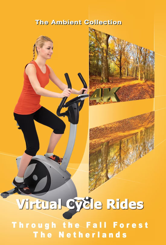 Virtual Cycle - Through the Fall Forest - The Netherlands