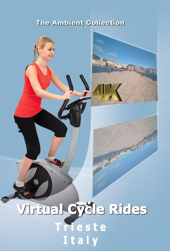 Virtual Cycle - Trieste - Italy