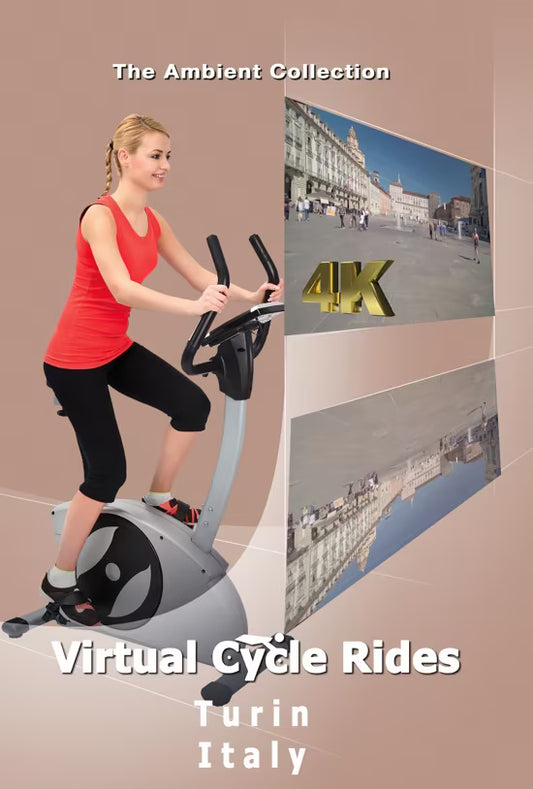 Virtual Cycle - Turin - Italy