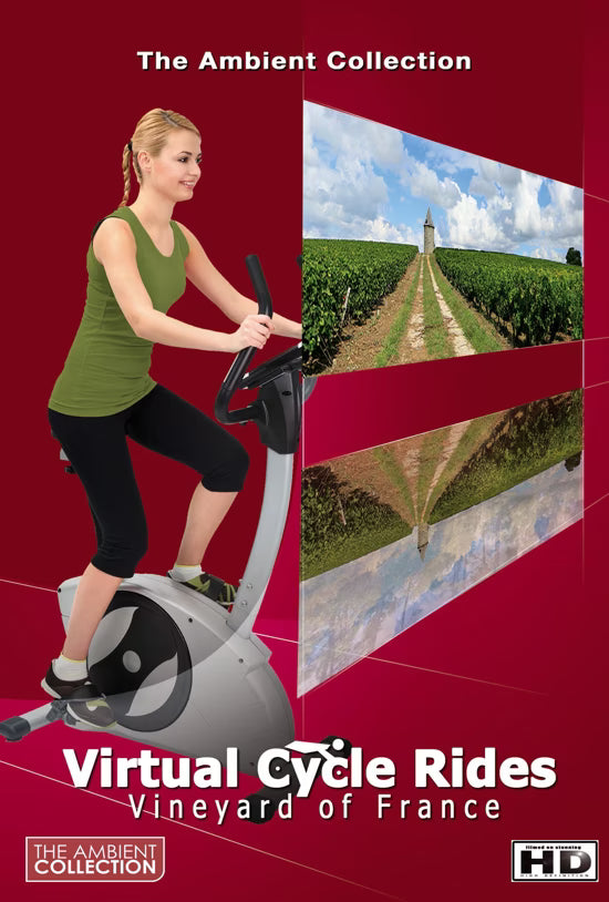 Virtual Cycle - Vineyard in France